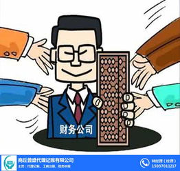 代理記賬與投資咨詢服務 為企業(yè)和個人提供專業(yè)財務支持